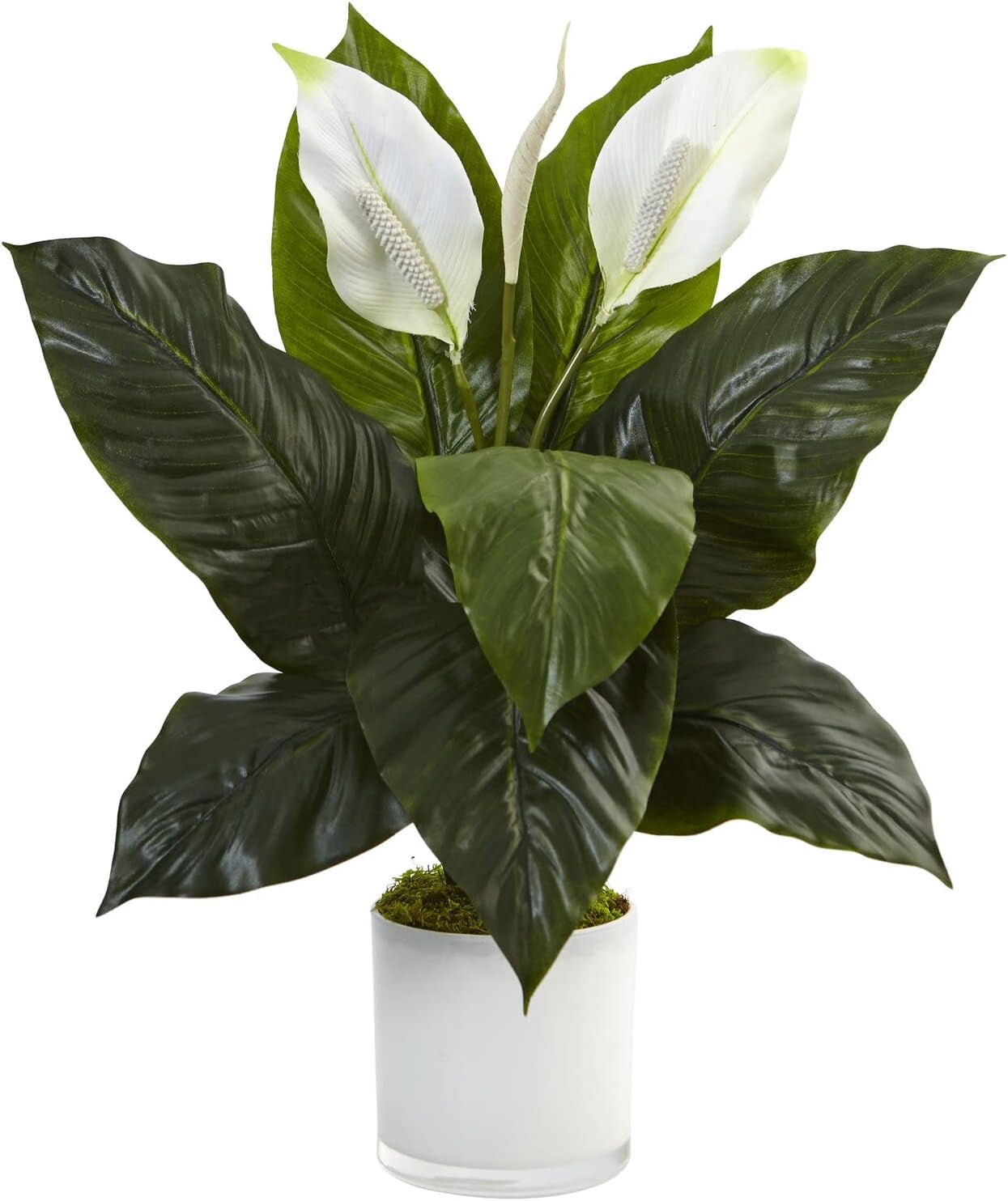 Nearly Natural Spathiphyllum Artificial Flowering Peace Lily in Glossy