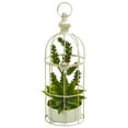 thumbnail image 1 of Nearly Natural Succulent Garden Artificial Plant in Birdcage, 1 of 1
