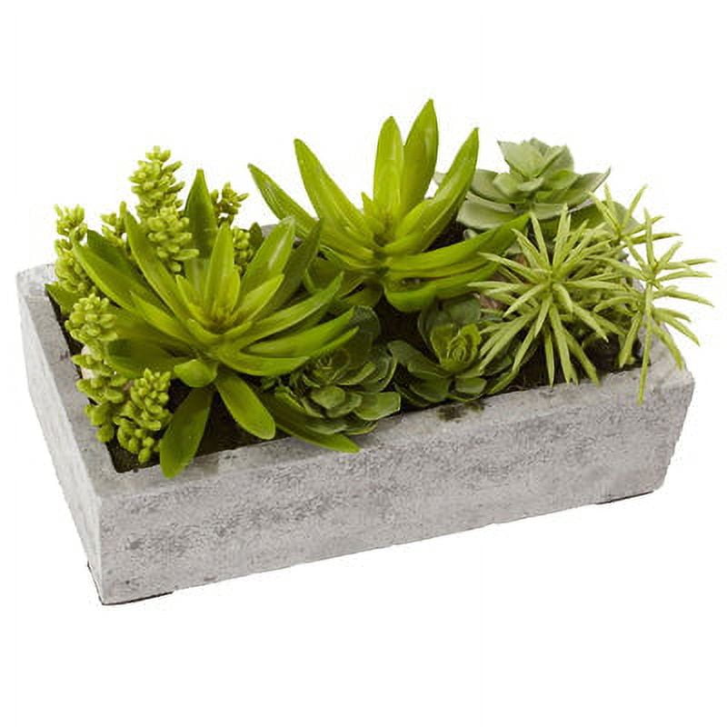 Decorative Outdoor Tabletop Succulent Ensemble in Cement Planter