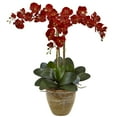 thumbnail image 1 of Nearly Natural Triple Stem Phalaenopsis Silk Arrangement, Seasonal, 1 of 2