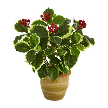 Nearly Natural 14in. Variegated Holly Leaf Artificial Plant in Ceramic Planter (Real Touch)