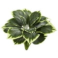 thumbnail image 1 of Nearly Natural Variegated Hosta Artificial Plant (Set of 6) in Green, 1 of 2