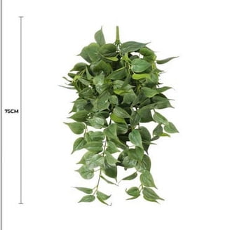 animal crossing new leaf snake plant Snake main image 0