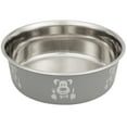 thumbnail image 1 of Neater Pets Stainless Steel Hungry Dog Bowl, Grey, 8 Cups, 1 of 6