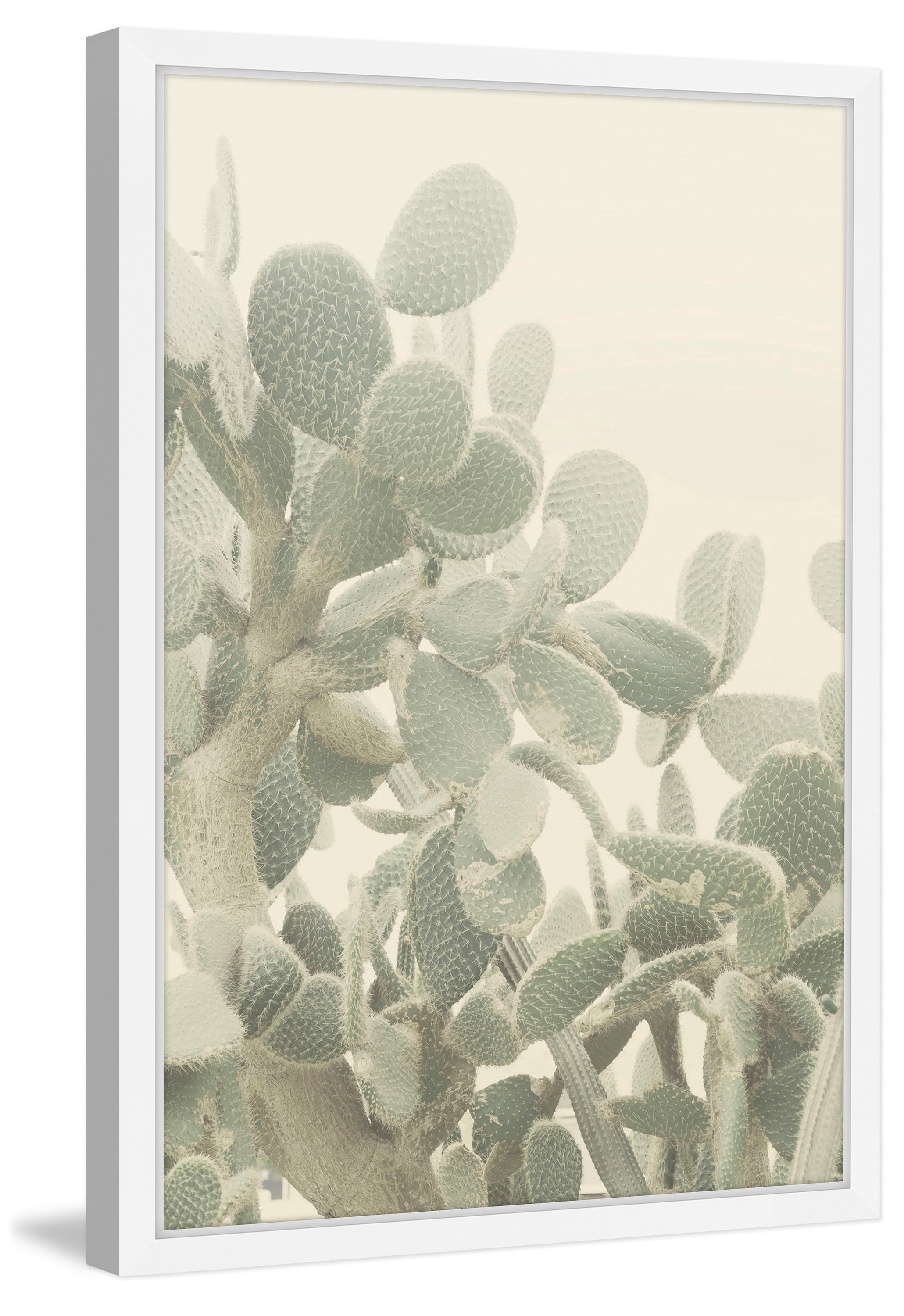 Neblina de Cactus Framed Painting Print
