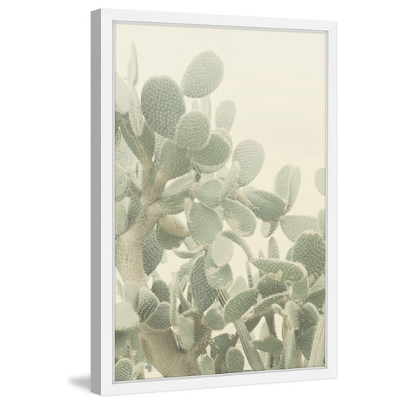 Neblina de Cactus Framed Painting Print