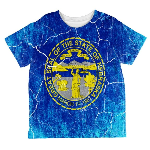 Nebraska Vintage Distressed State Flag All Over Toddler T Shirt Multi 2T