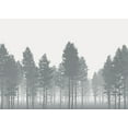 thumbnail image 1 of Nebula Wall Mural, 1 of 2