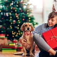 thumbnail image 1 of Nebwoak Christmas Pet Bow Tie for Dogs & Cats - Red Mini Size Adjustable Elastic Soft Skin-Friendly Fabric Festive Holiday Collar Accessory, 1 of 6