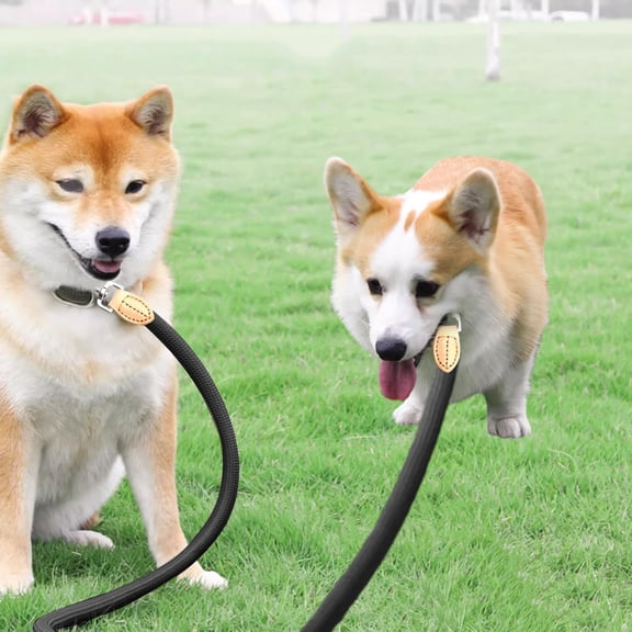 Nebwoak Double Dog Leash 2 FT, Dual No Tangle Tandem Leash Splitter for Small Dogs, Shock Absorbing Bungee Heavy Duty with Comfortable Padded Handle