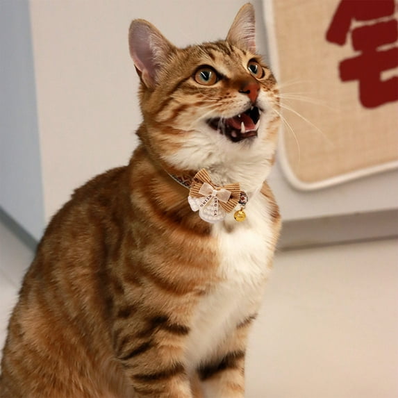 Nebwoak Nylon Waterproof Dog Collar - Soft Adjustable Quick Release with Safety Lock - for Small Dogs, Puppies & Cats (2-7.5kg)