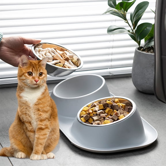 Nebwoak No Spill Double Diner Raised Pet Bowl - Stainless Steel for Dogs & Cats, Turquoise, Neck Comfort, Easy Clean Spill-Proof Base, Home Decor-Friendly