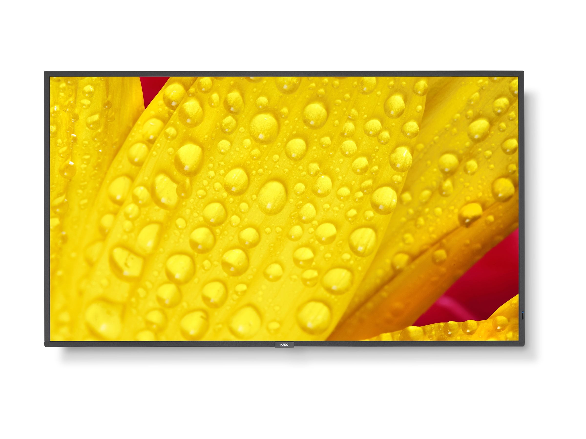 Sharp NEC Display 65 Ultra High Definition Professional Display ...