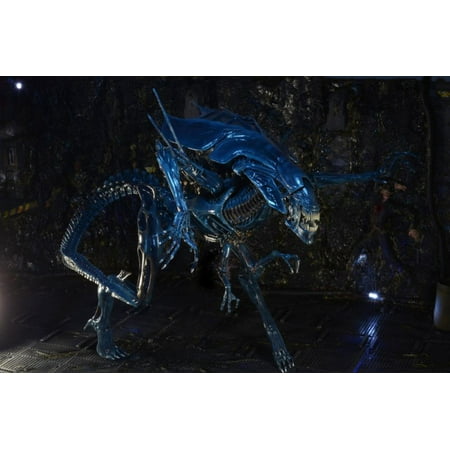 Aliens Xenomorph Queen Deluxe Action Figure