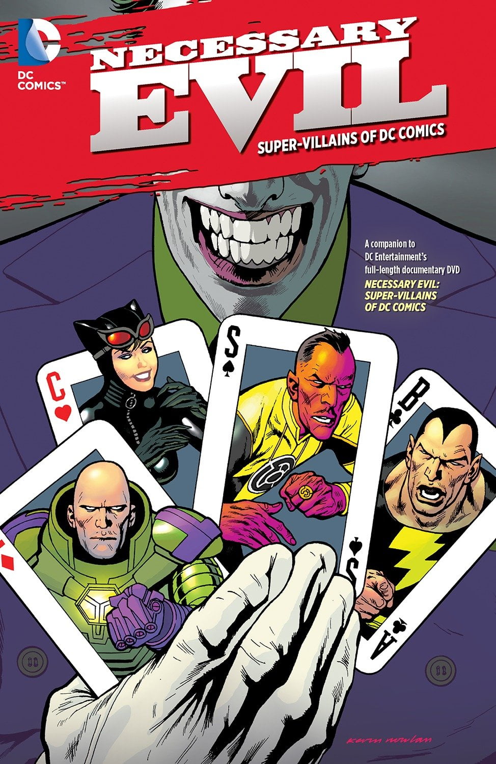 Necessary Evil: Super-Villains of DC Comics - Walmart.com, image size:974x1500