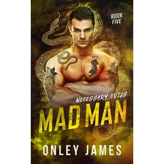 Necessary Evils Mad Man, Book 5, (Paperback)