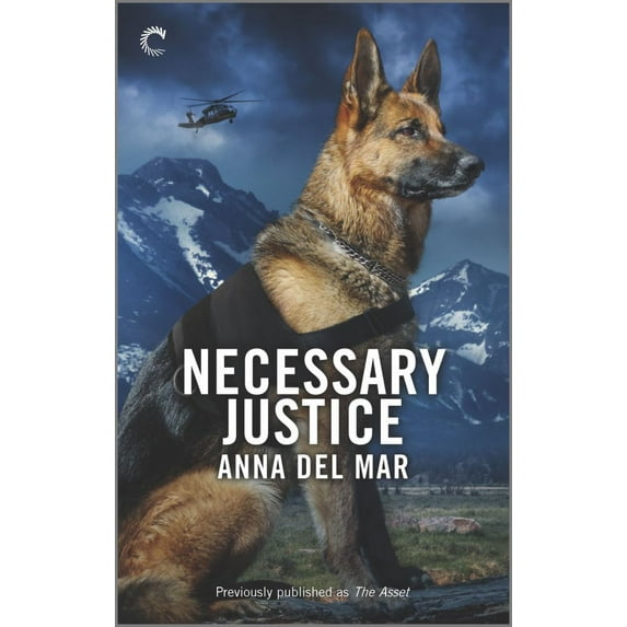 Necessary Justice (Paperback)