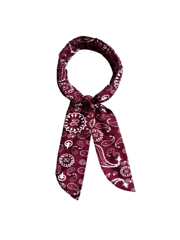 Neck Cooling Towel, Cooling Scarf for Neck Women, Paisley Print, Maroon, 36X4 In, Cooling Head Scarf, Cooling Towels for Neck, Cooling Bandana for Dogs, 1 Pc
