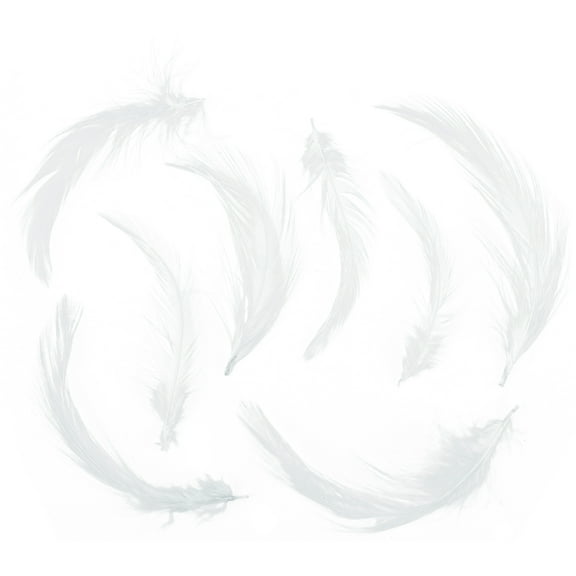 Zucker Feather Products Loose Rooster Hackles Dyed - 3-6" - White