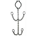 thumbnail image 1 of Neck Strap & Manacles, 1 of 1
