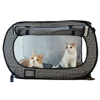 Cat crates walmart sale