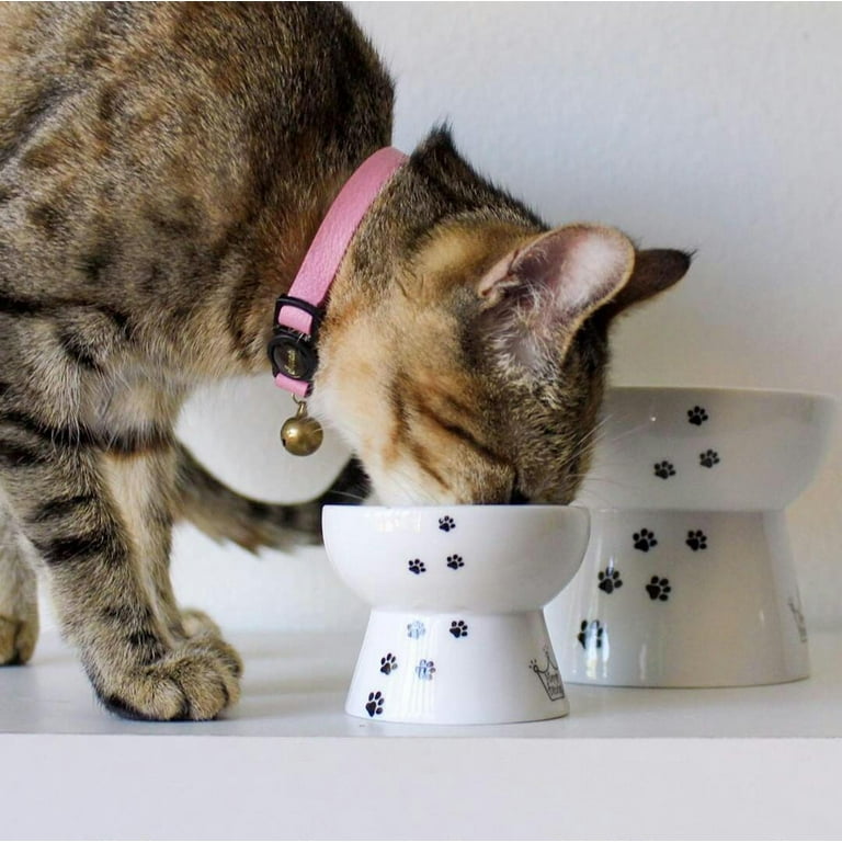 Necoichi Raised Mini Cat Food Bowl