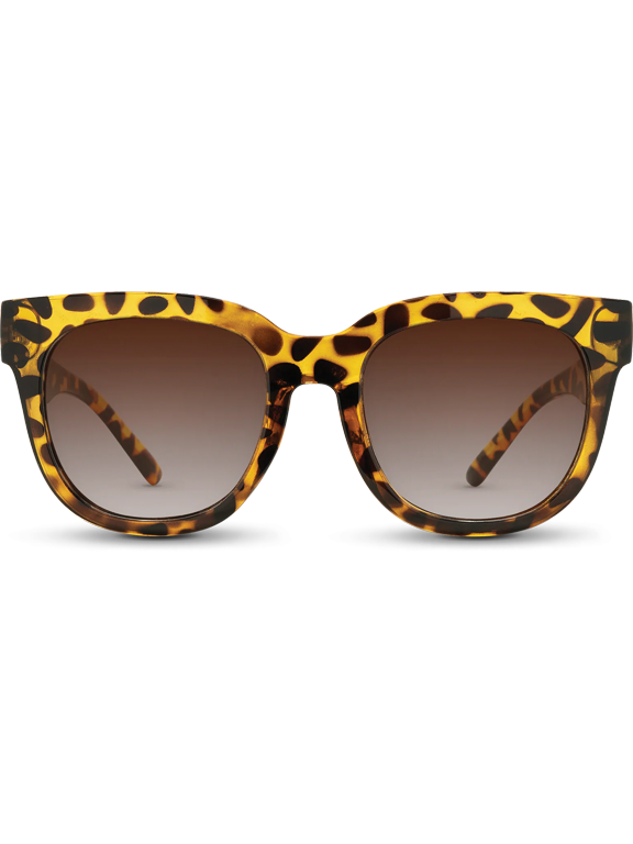 Chatham Brown Tortoise/Gradient Amber Sunglasses