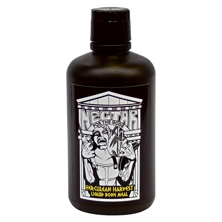 その他 The Food of Gods (Divine Nutrition) THE FOOD OF GODS (Divine Nutrition): Jasmuheen, Jasmuheen