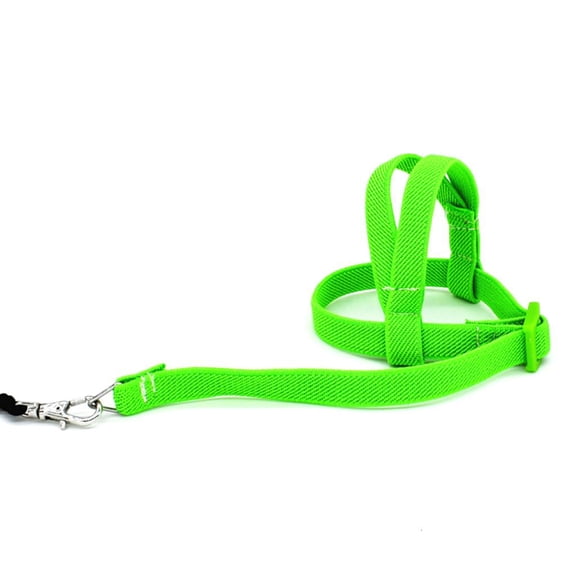 Necvior 2m Anti Bite Flying Training Rope Parrot Bird Leash Ultralight Harnesses Portable Soft Band Pet Supply