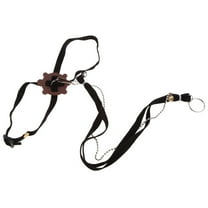 Necvior Colored Bearded Dragon Lizard Harness Leash Adjustable Reptile Walk Lead for Amphibians Small Pet Accessories