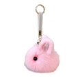 thumbnail image 1 of Necvior Cute Rabbit Hairball Keychain Pendant Lovely Hanging Decoration Bag Pendant Women Backpack Handbag Charm Gift for Girls, 1 of 18