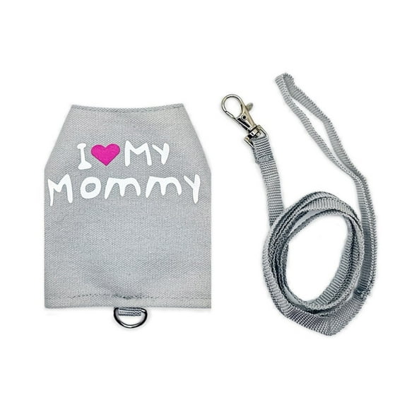 Necvior Lizards Safe Harness with Short Leash for Outdoor Activity Reptiles Walking Supply