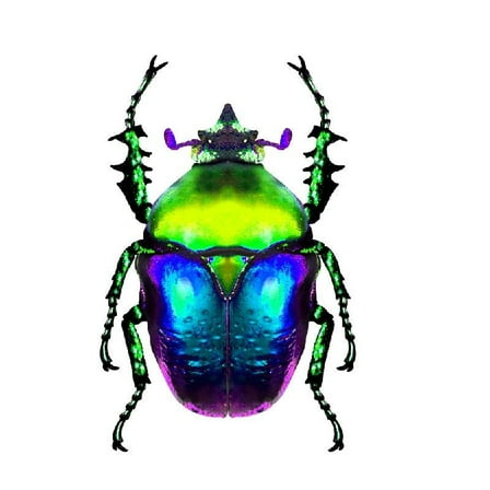 Necvior Metal Wall Art Decoration Inspirational Fence Hanging Garden Sculpture