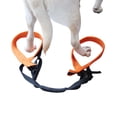 thumbnail image 1 of Necvior Portable Adjustable Dog Harness Bracket Auxiliary Belt for Pets Rear Leg Surgery, 1 of 11