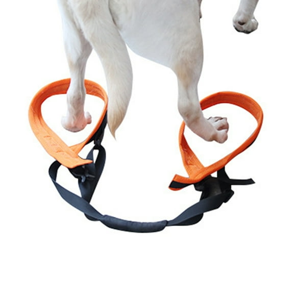 Necvior Portable Adjustable Dog Harness Bracket Auxiliary Belt for Pets Rear Leg Surgery