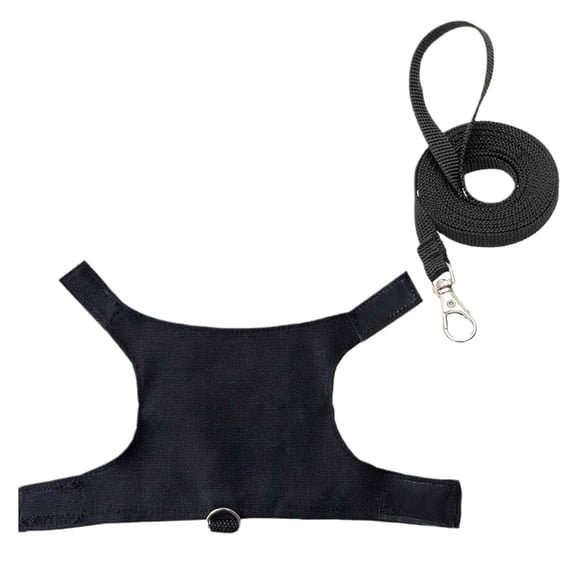 Necvior Reliability Chest Back Traction Rope Set for Lizards Reptiles Outdoor Walking Harness with Letter Print for Reptiles Crawl