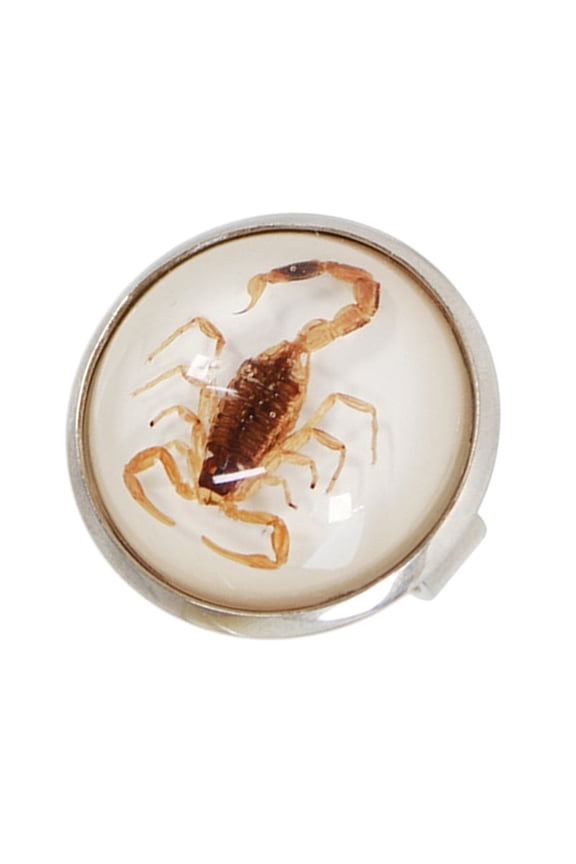 Round Scorpion Rings Resin Statement Pieces Unique Finger Jewellery for Couples