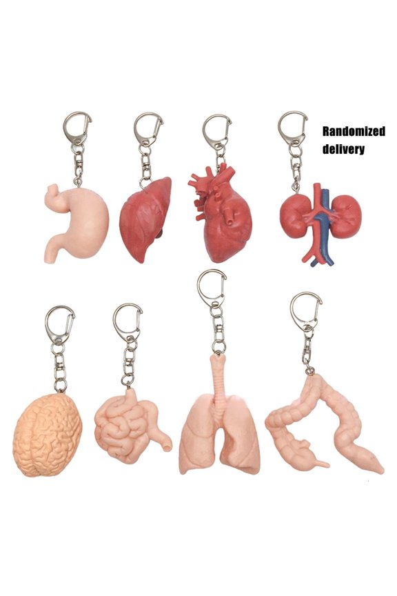 Sturdy Organ Inspired Key Holder for Trendy Adults Facing Heartbreak Daily Use