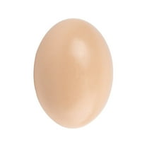 Necvior Wooden Simulation Egg Unfinished Wood Painted Eggs Fake Eggs Crafts for DIY Craft Educational Kids Toy Gift Easter Decor