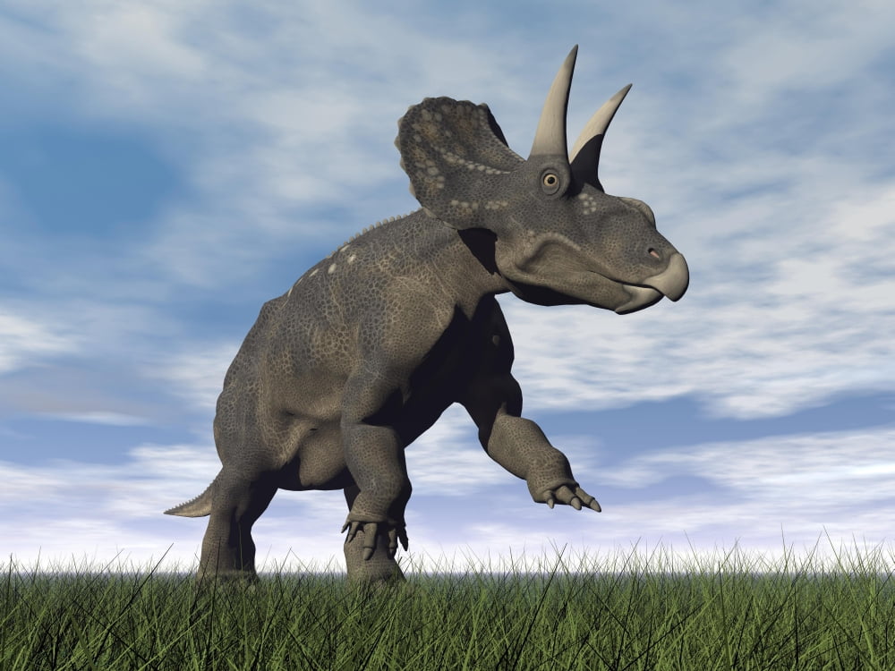 Nedoceratops dinosaur grazing in grassy field Canvas Art - Elena DuvernayStocktrek Images (33 x 25)