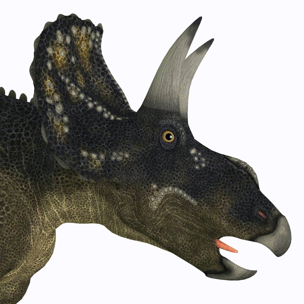 Nedoceratops portrait Canvas Art - Corey FordStocktrek Images (28 x 28)