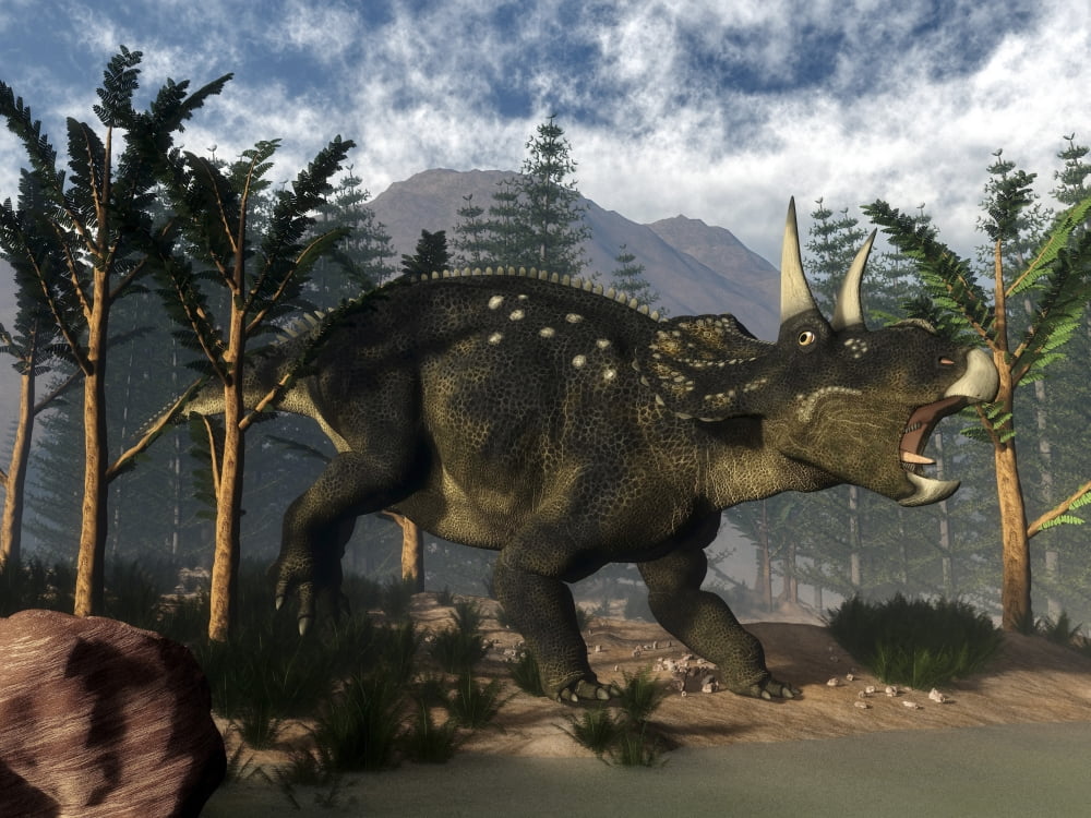 Nedoceratops roaring while among onychiopsis trees Canvas Art - Elena DuvernayStocktrek Images (17 x 13)