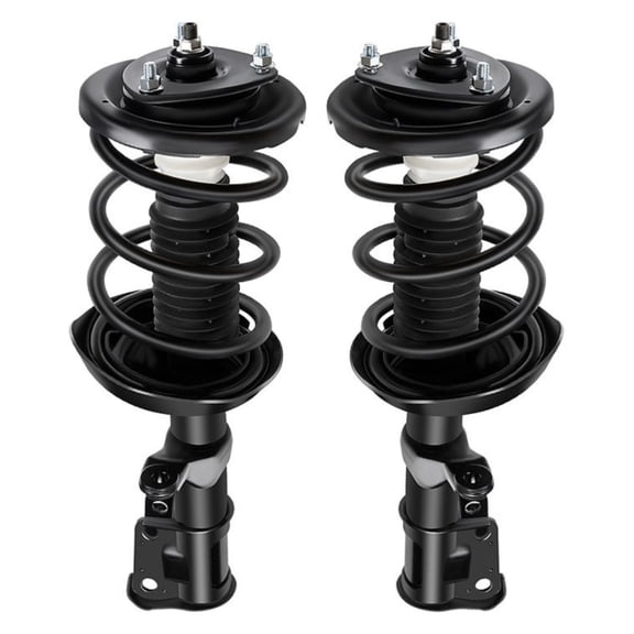 Nee Haoww 2-Piece Front Strut and Spring Suspension Kit with Powder Coating