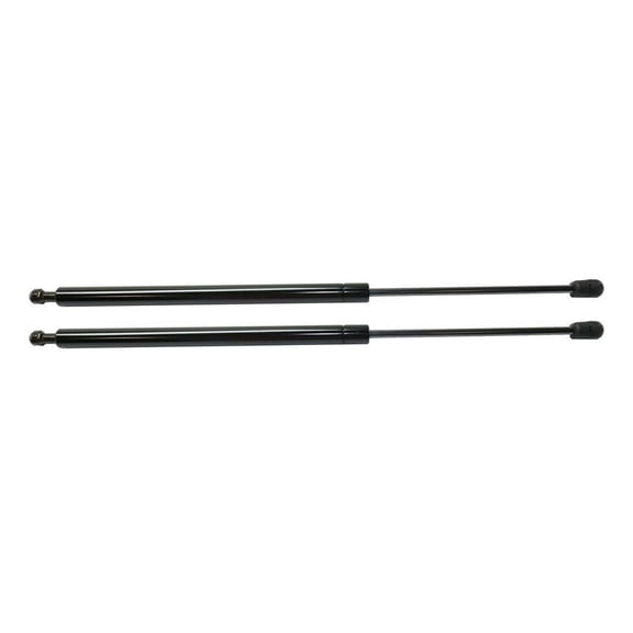 Nee Haoww 2-Piece Tailgate Lift Supports Rear Side Gas Charged Shock Strut Pro