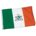 thumbnail image 1 of Nee Irish Coat of Arms Heavy Duty Outdoor Ireland Flag - 2'x3', 1 of 4