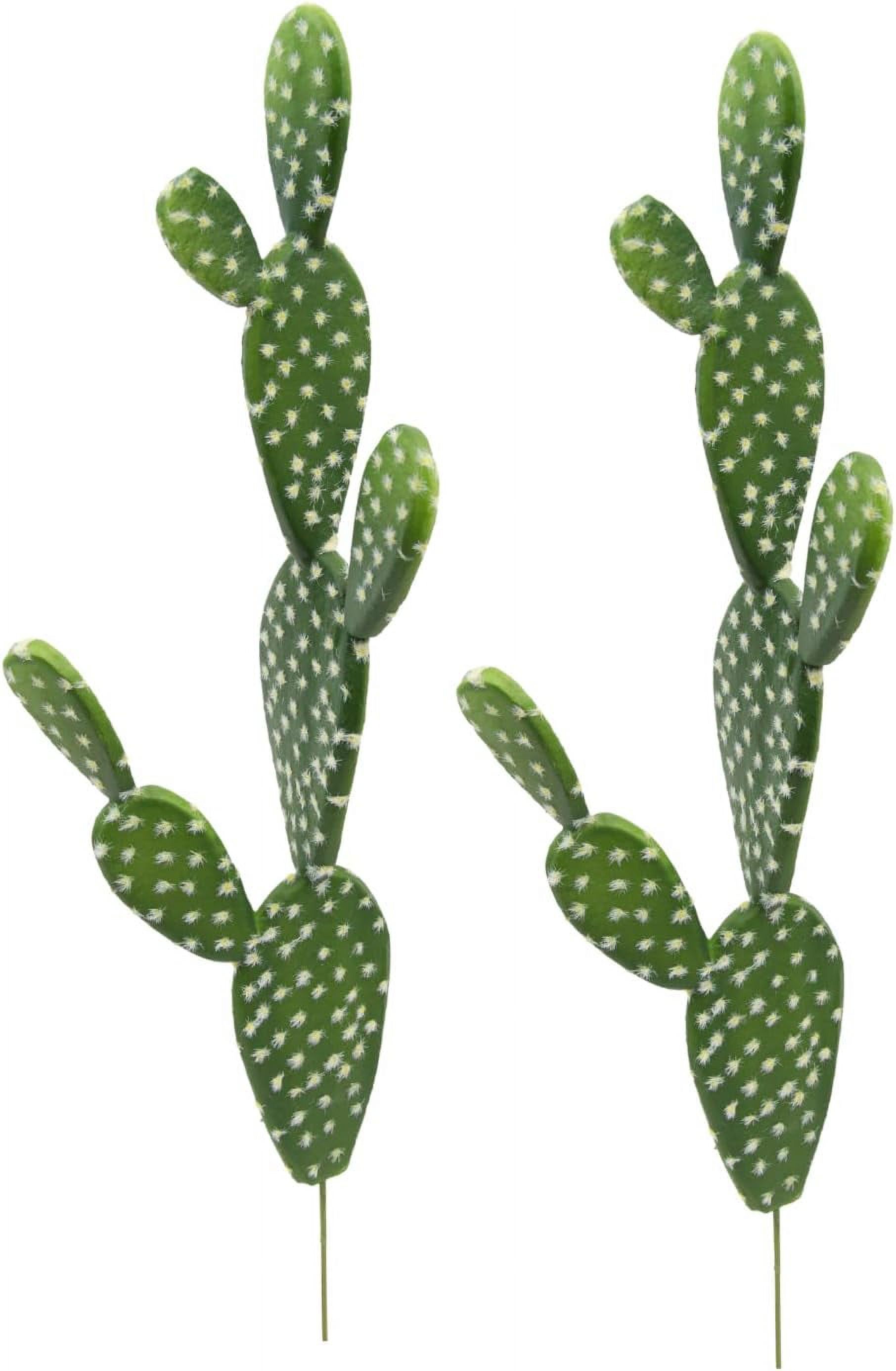 Need Artificial Cactus Fake Big Cacti Pick 20” Tall Faux Bunny Ear