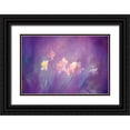 thumbnail image 1 of Needle, Charles 24x17 Black Ornate Wood Framed with Double Matting Museum Art Print Titled - Canada, New Brunswick Abstract of daffodils, 1 of 4