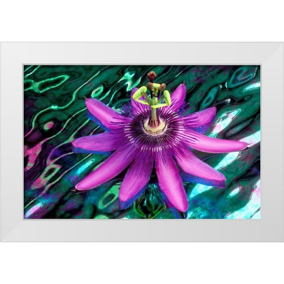 Needle, Charles 32x22 White Modern Wood Framed Museum Art Print Titled - GA, Alpharetta Passion flower on stained glass