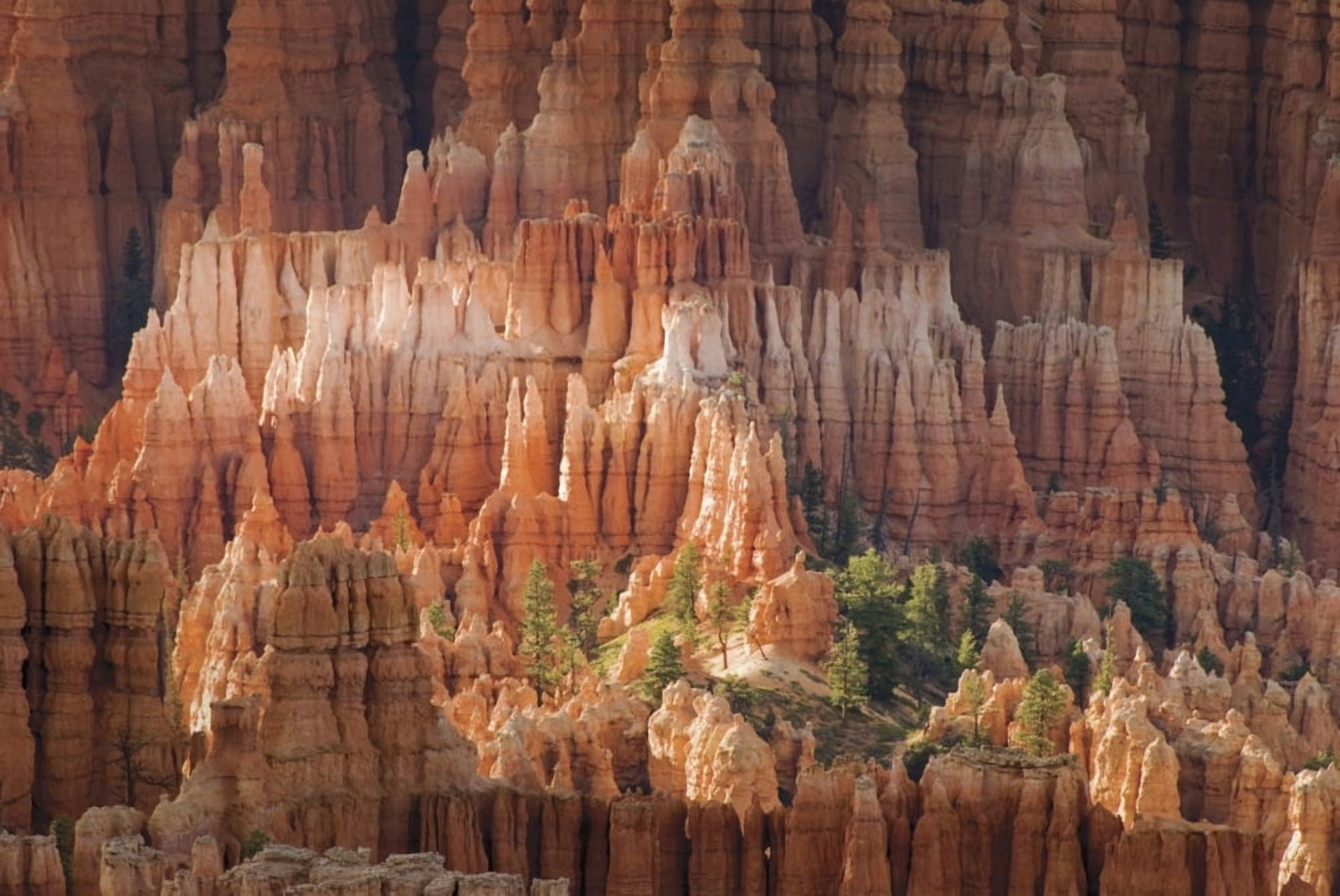 Needle Rock Formations Canvas Art - Philippe Widling Design Pics (19 x 12)
