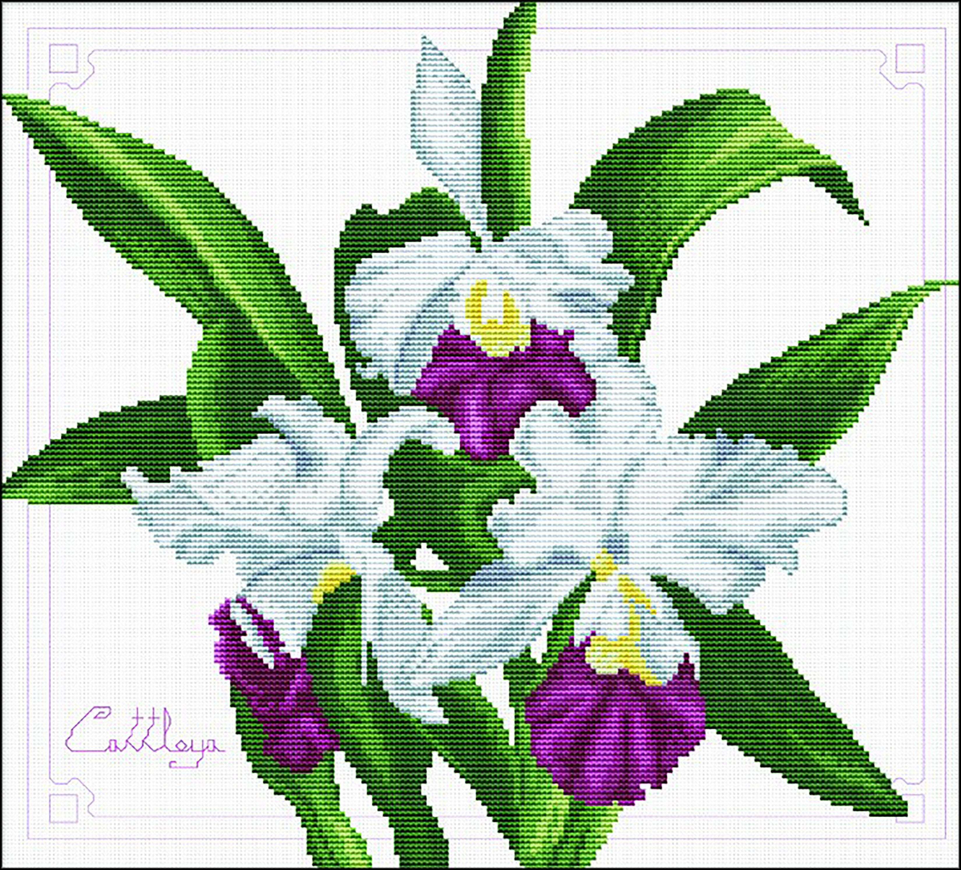 Needleart World No Count Printed Cross Stitch Kit 16"X14.5"Bouquet Of